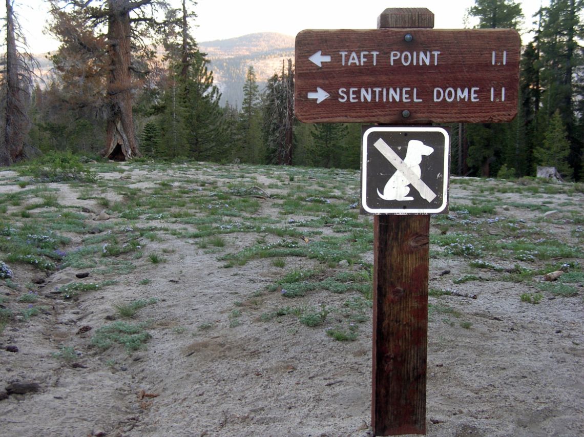Yosemite - Inicio de las rutas a Sentinel Dome y Taft Point desde la carretera de acceso a Glacier Point.