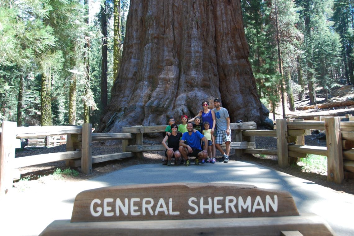 Sequoia National Park - Sherman Tree sequoia gigante en la zona del Giant Forest.