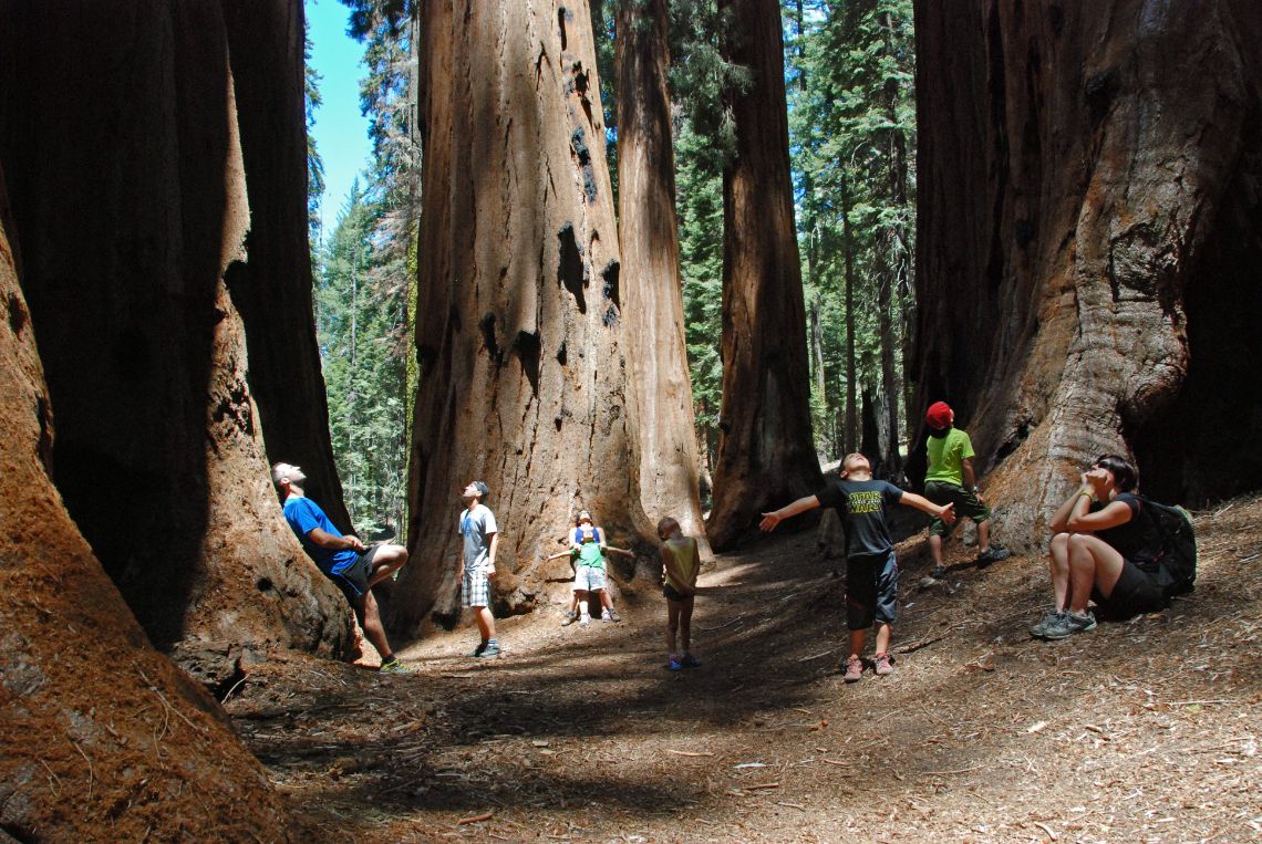 Sequoia National Park - vista de The Senate con gente. Está situado en la zona del Giant Forest, en el llamado Congress Trail.