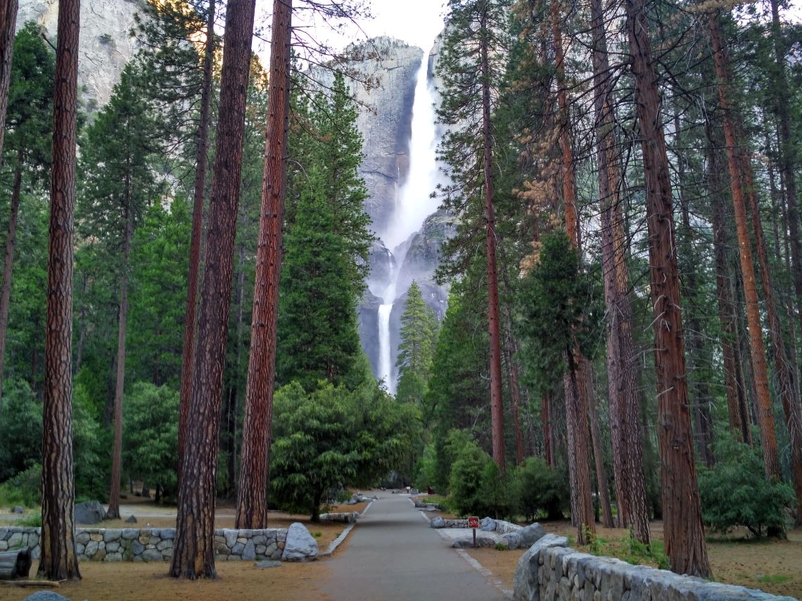 Yosemite Valley - Upper y Lower Yosemite Falls vistas desde la fácil ruta en pleno Yosemite Valley.