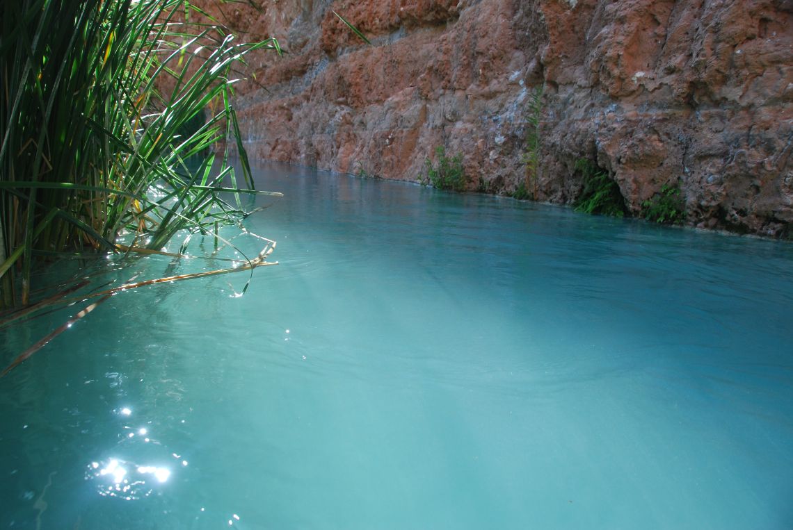 Havasupai - Havasu Creek pasando las cascadas Havasu Falls. En el inicio del camping Havasupai Campground.