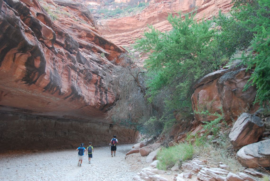 Havasu Falls cómo llegar - Hike a Havasupai: caminando en la parte final del cañón antes de la confluencia con Havasu Creek.