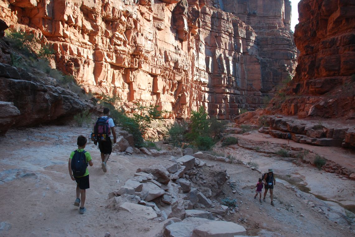 Havasu Falls cómo llegar - Hike a Havasupai: caminando por un pequeño río en la parte final del cañón antes de la confluencia con Havasu Creek.