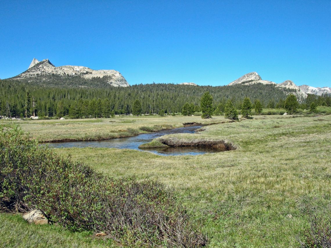 Yosemite - Vista del pico Cathedral Peak desde las praderas Tuolumne Meadows . Está en la carretera de acceso al Tioga Pass.