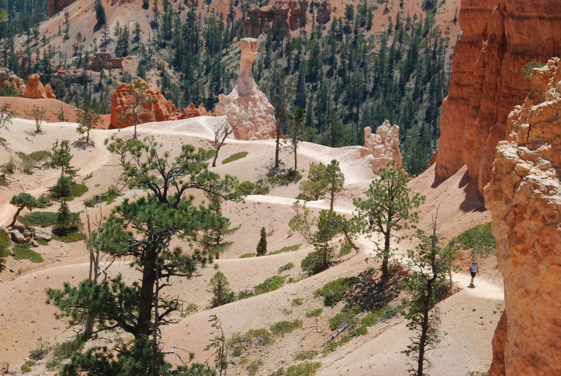 Bryce Canyon - Ruta Queens Garden Trail en pleno Parque Nacional. Bryce Canyon está situado en Utah y es famoso por sus hoodoos de colores rojizos.
