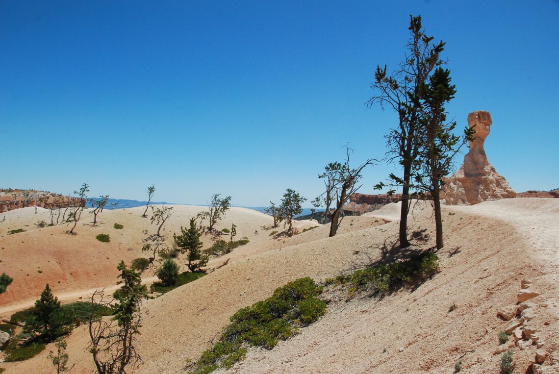 bryce canyon queens garden trail3