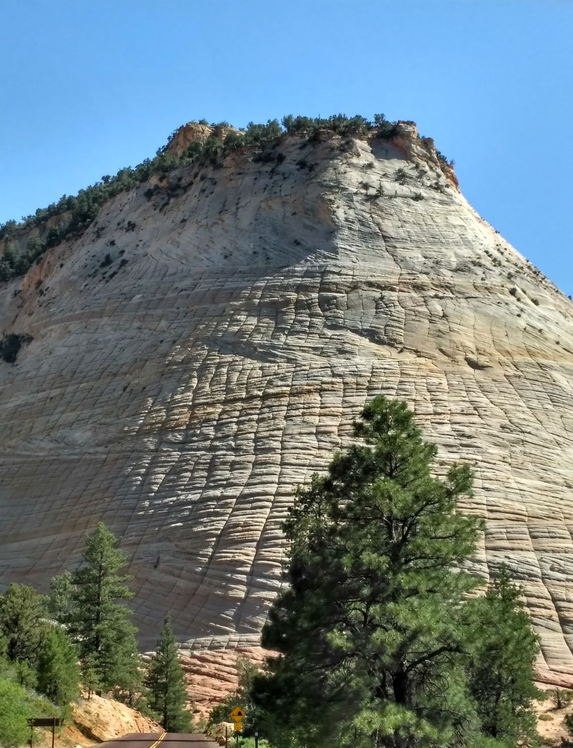 zion national park checkerboard mesa