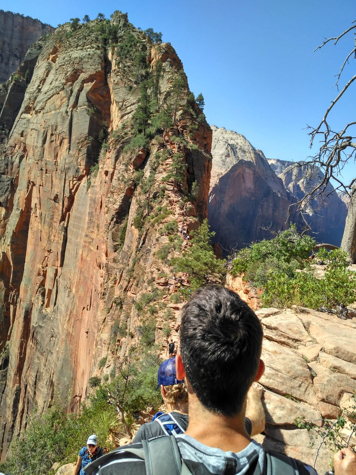 zion national park angels landing 3