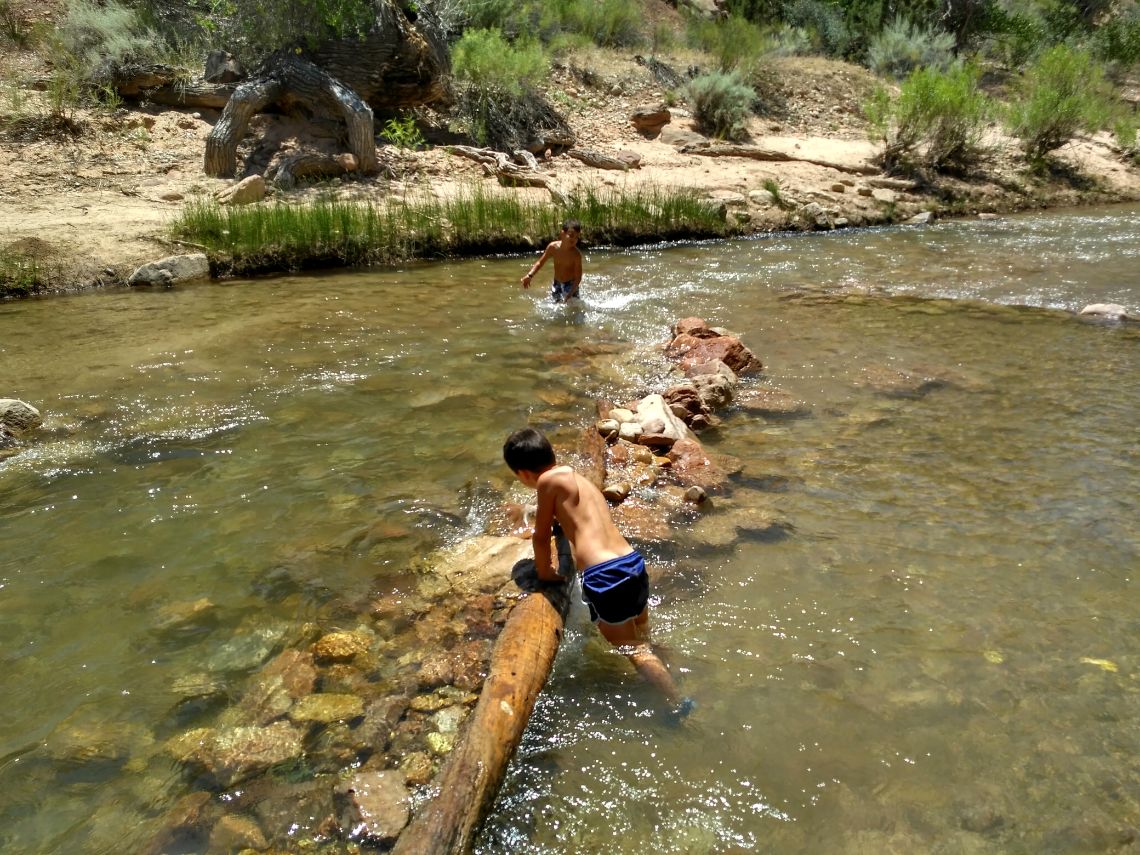 zion national park virgin river 2