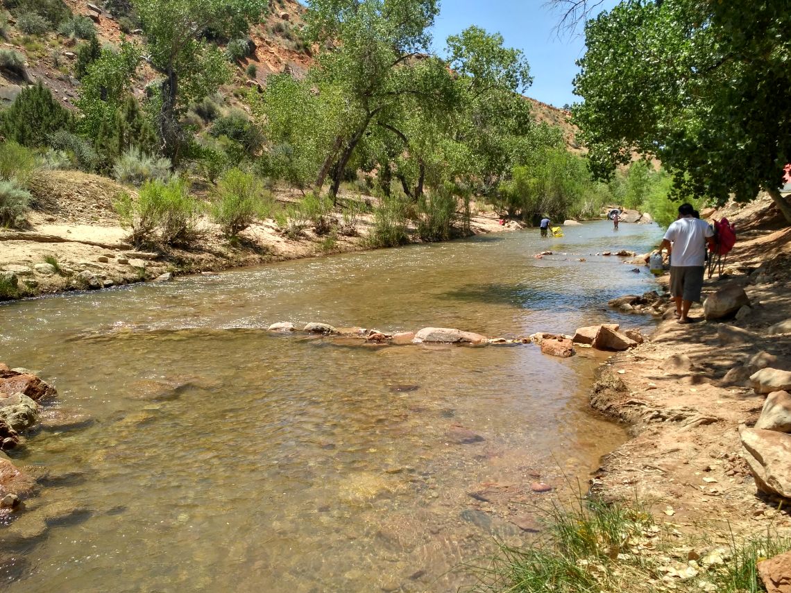 zion national park virgin river
