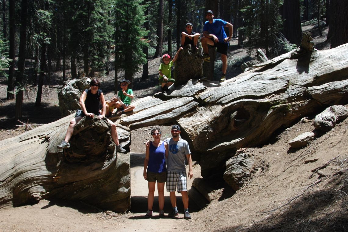 Sequoia National Park - Tunel en una sequoia gigante caída en la ruta CongressTrail, en la zona del Giant Forest.