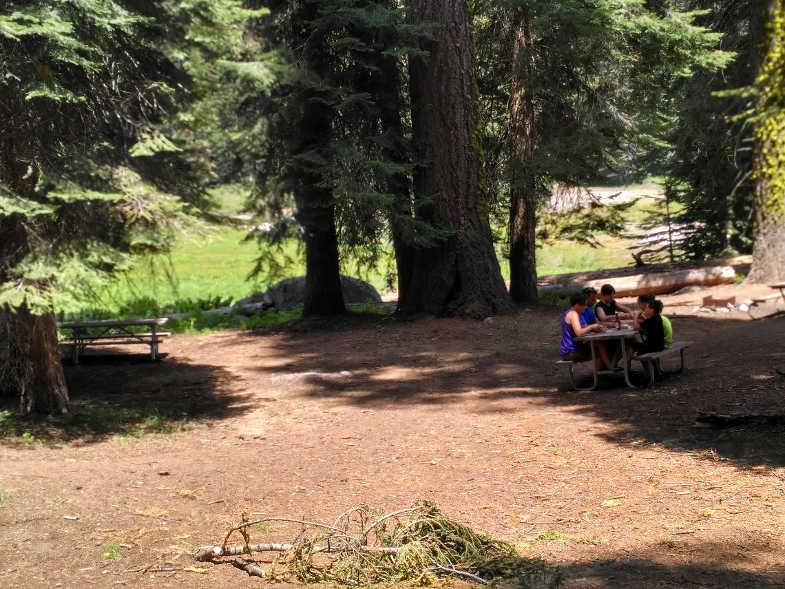 Sequoia National Park - Halstead Meadow picnic area al lado de la carretera cerca de la zona Lodgepool Visitor Center.
