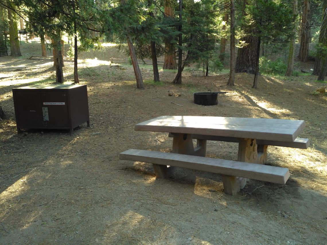 Nuestra parcela en el Sunset Campground - Sequoia National Park. Situado en la zona del General Grant Grove.