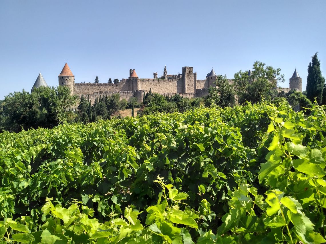 carcassonne cite vignoble