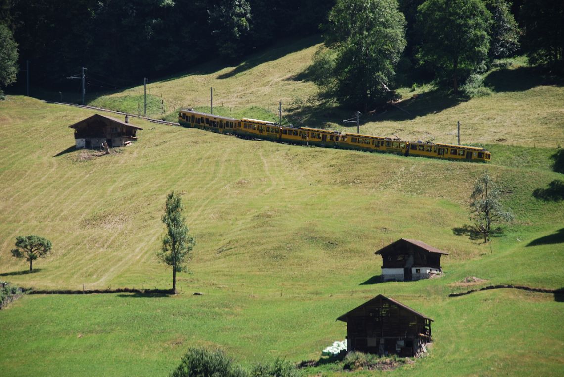 lauterbrunnen tren wengen
