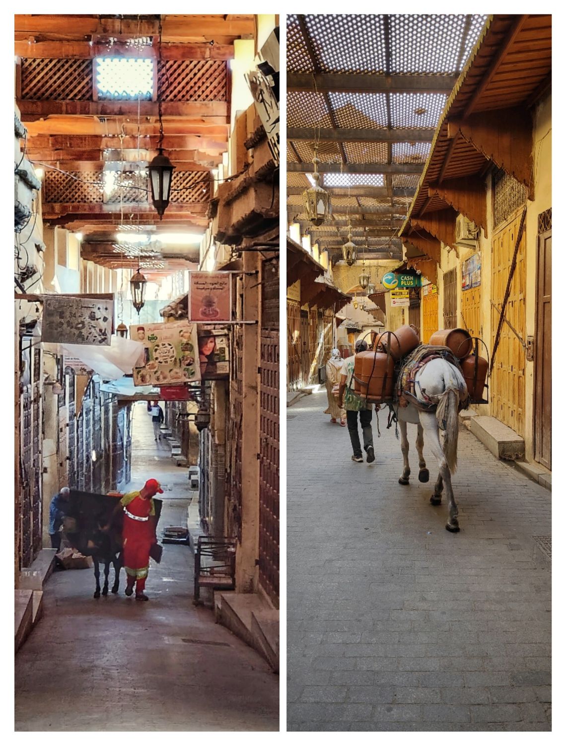 burros medina fez marruecos
