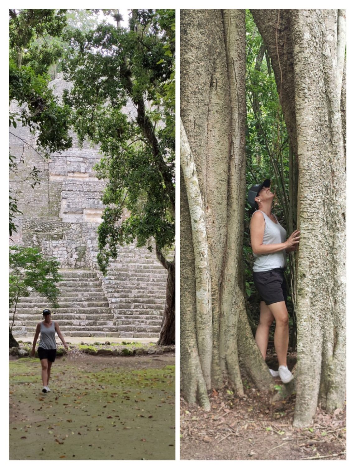 calakmul 8