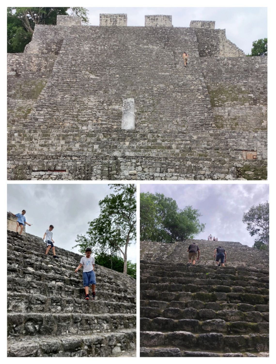 calakmul collage