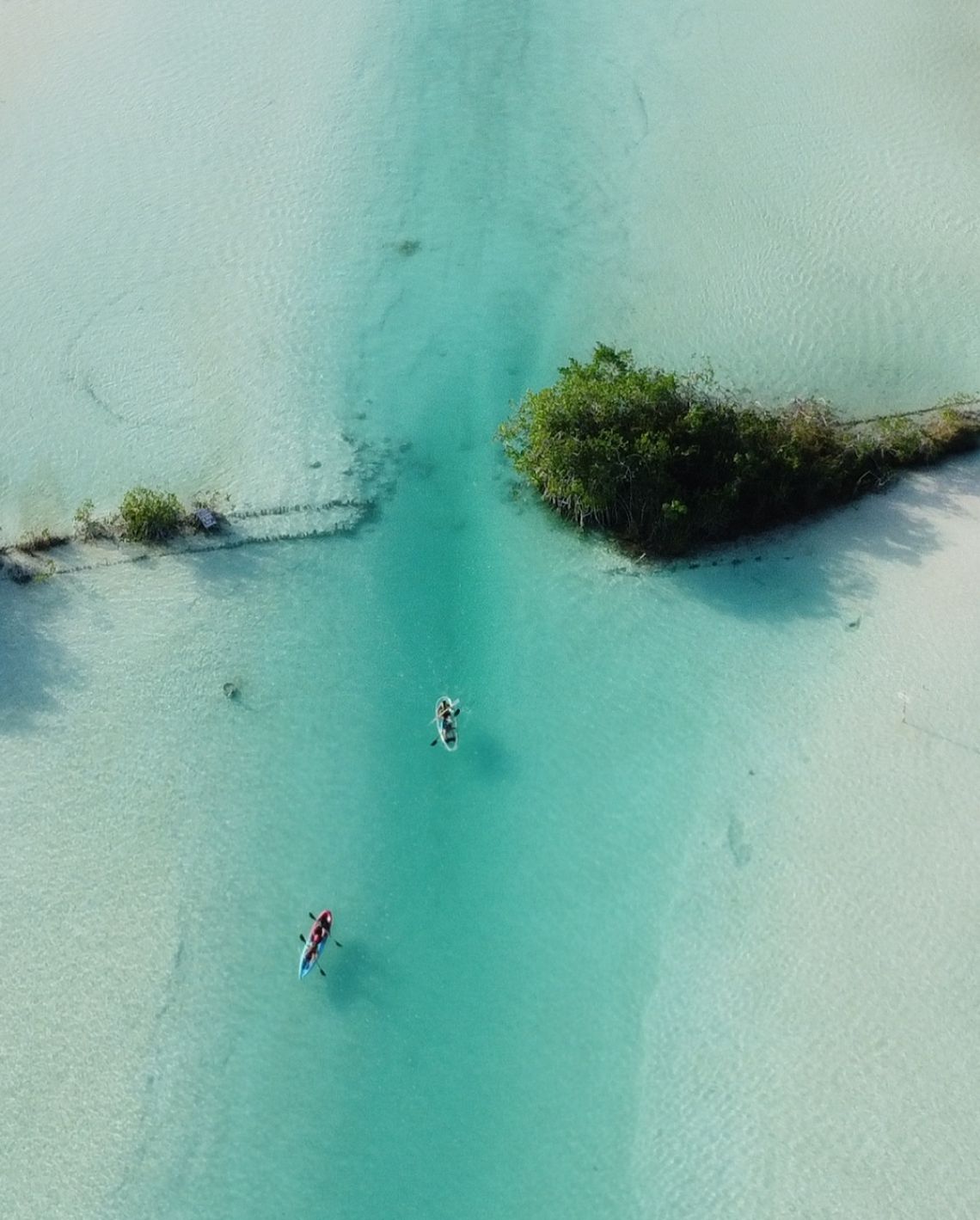 bacalar portada