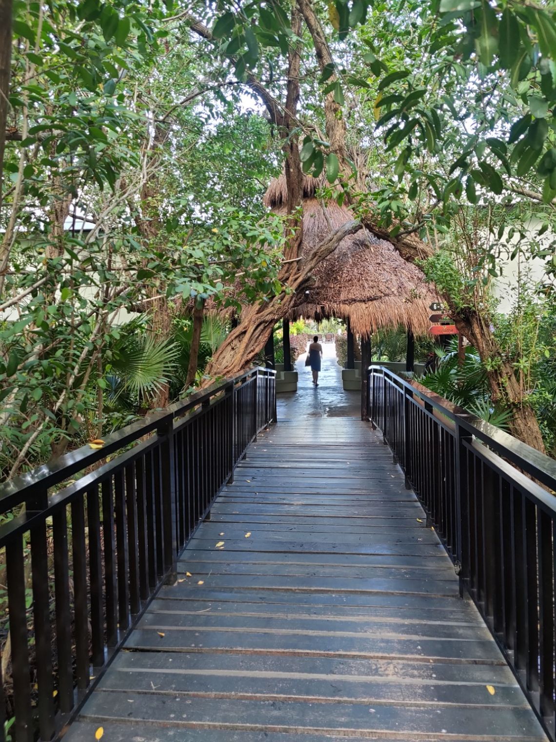 sandos caracol selva
