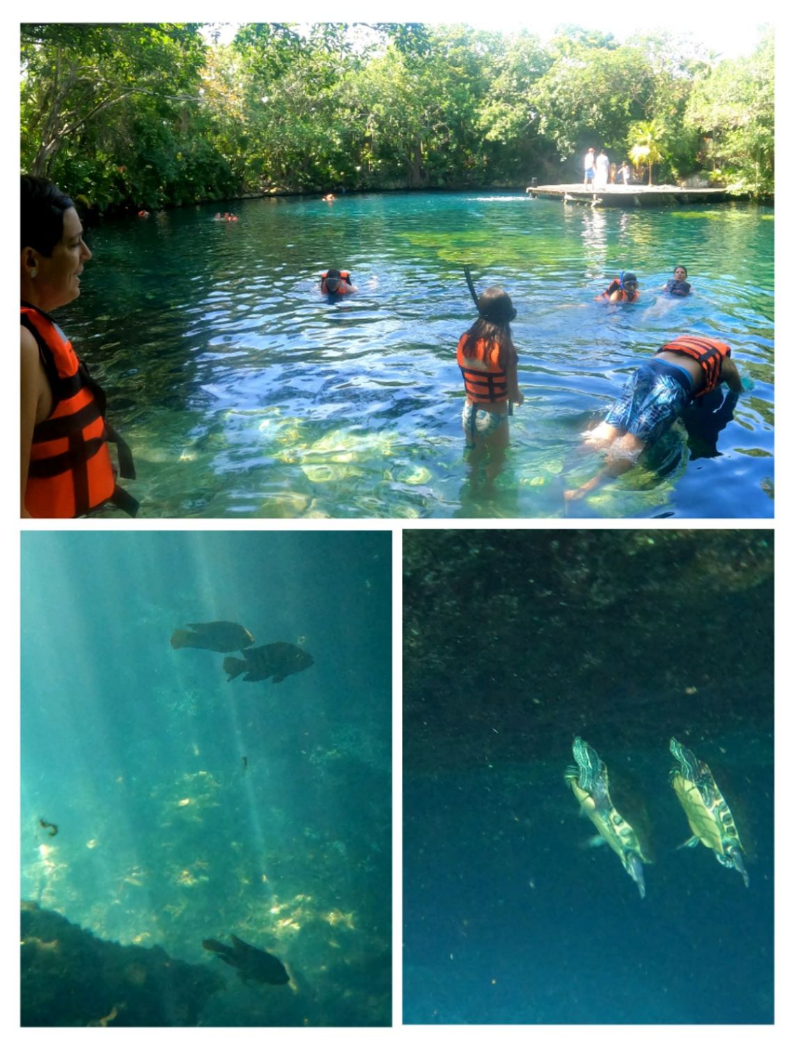 sandos caracol cenote cristalino