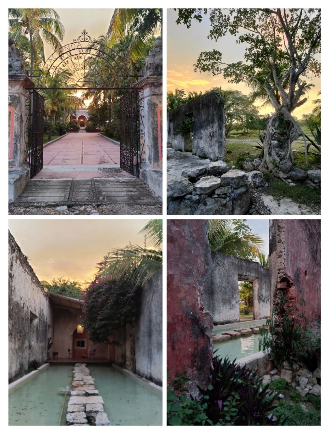 hacienda sanicte 4