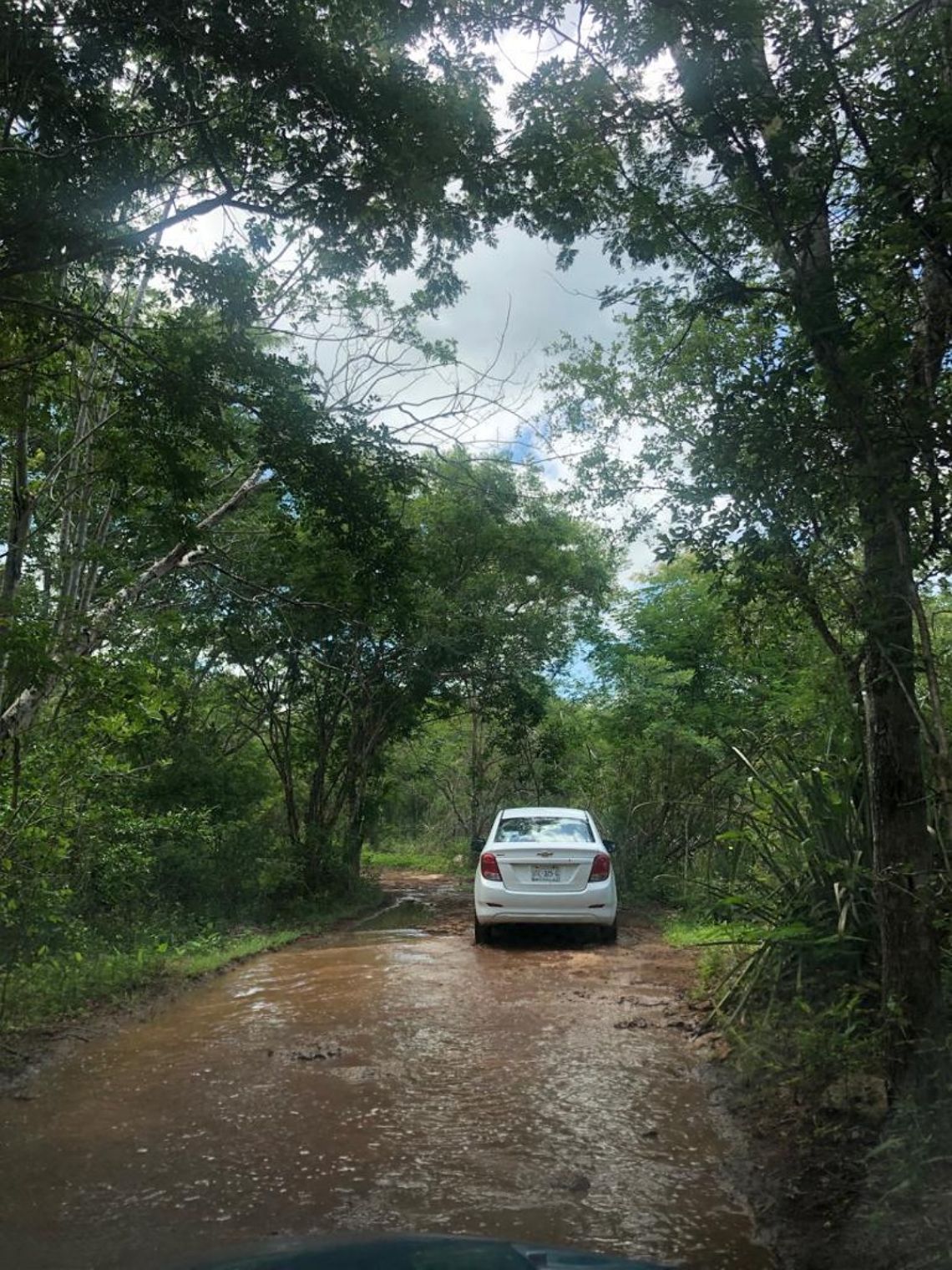 camino