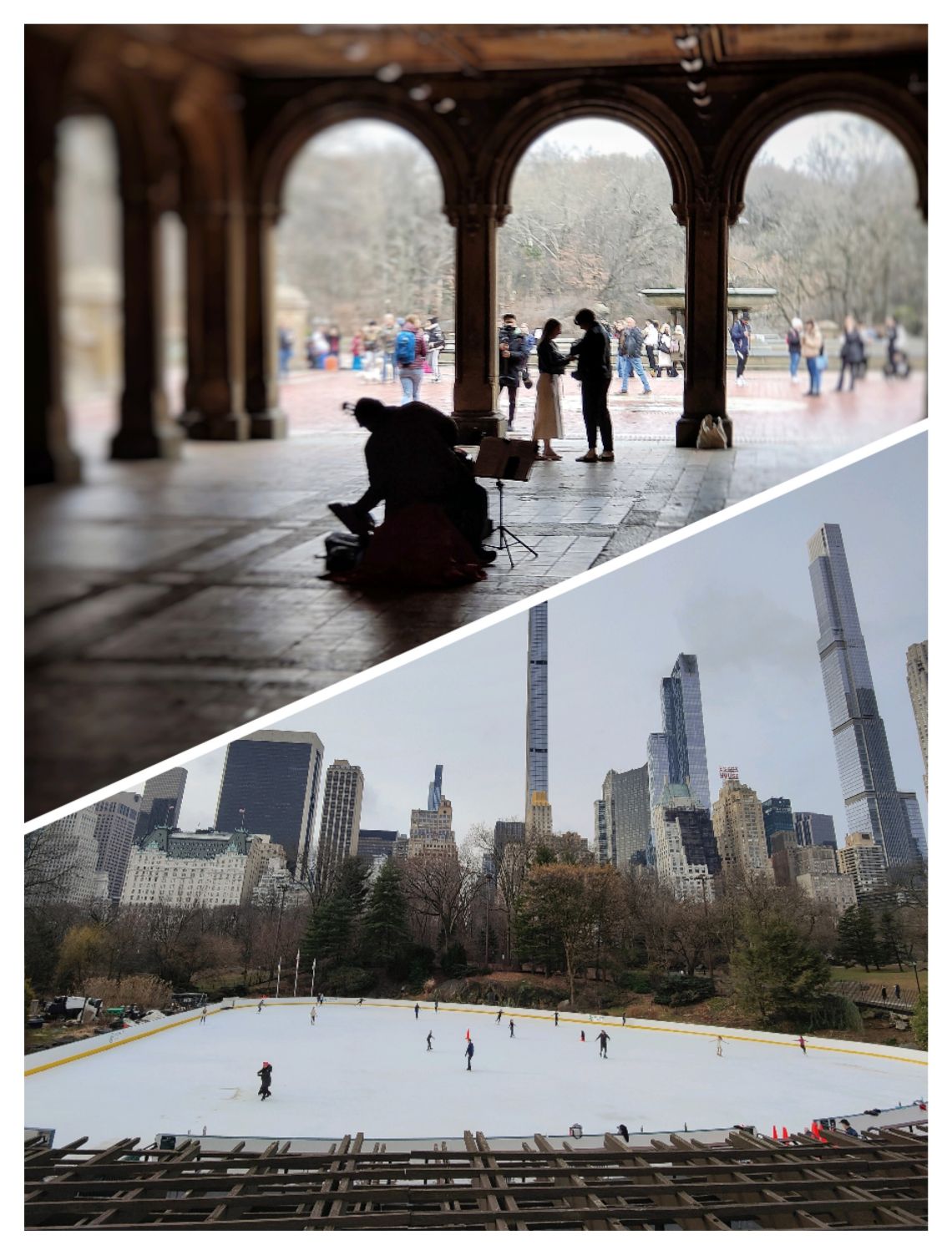 central park nueva york 2