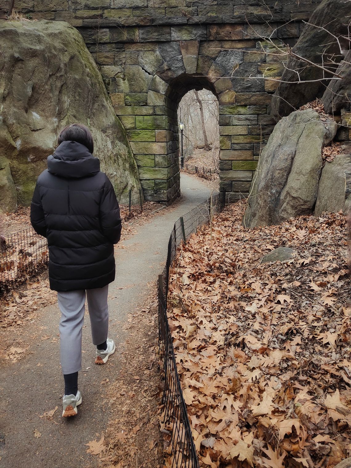 central park nueva york 3