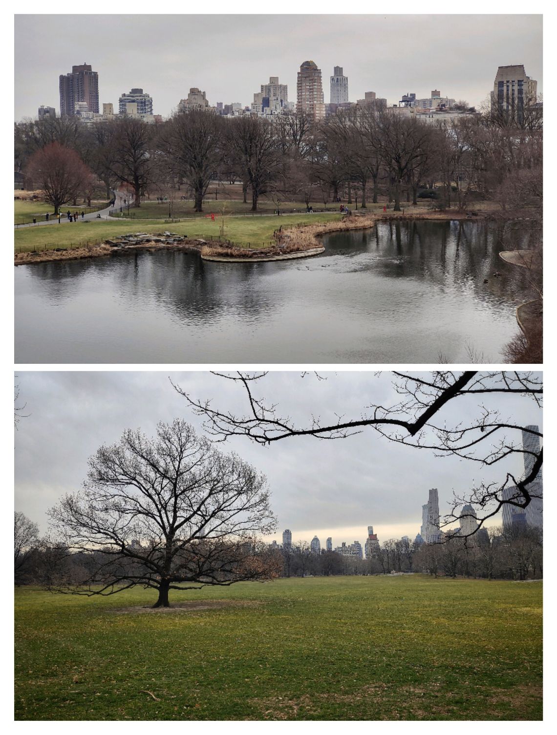 central park nueva york 4