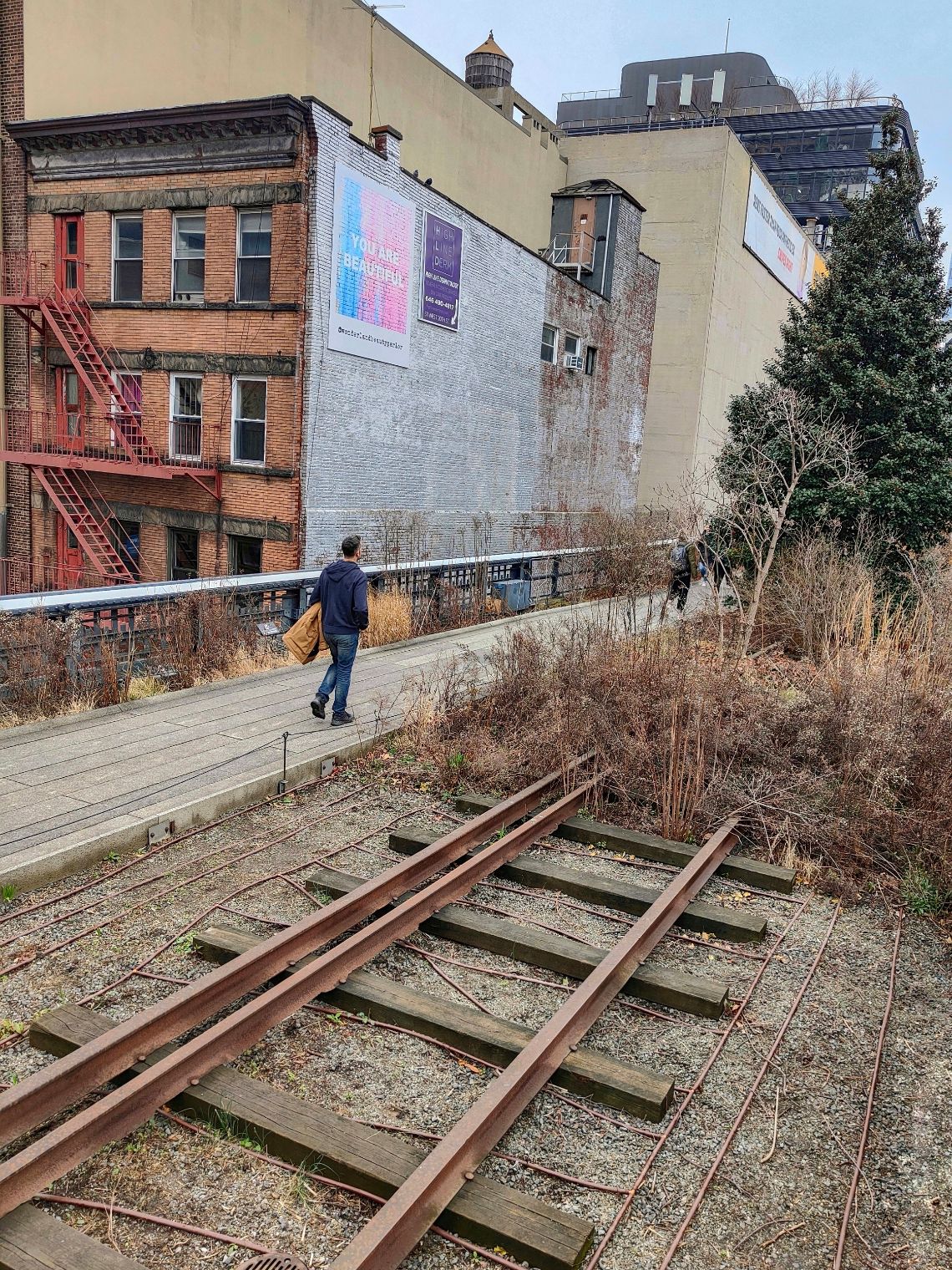 the high line nueva york 2