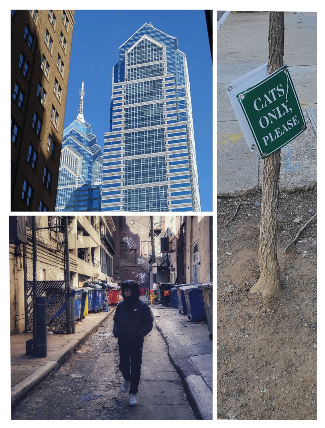 edificios calles filadelfia