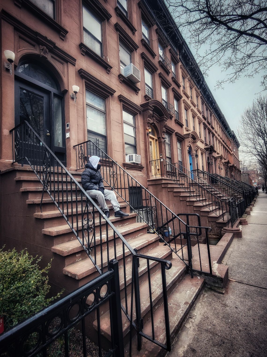 harlem brownstones nueva york