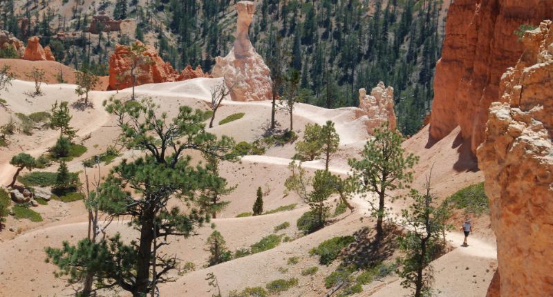 Bryce Canyon - Ruta Queens Garden Trail en pleno Parque Nacional. Bryce Canyon está situado en Utah y es famoso por sus hoodoos de colores rojizos.