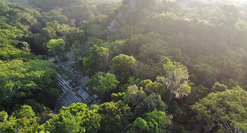 coba drone portada