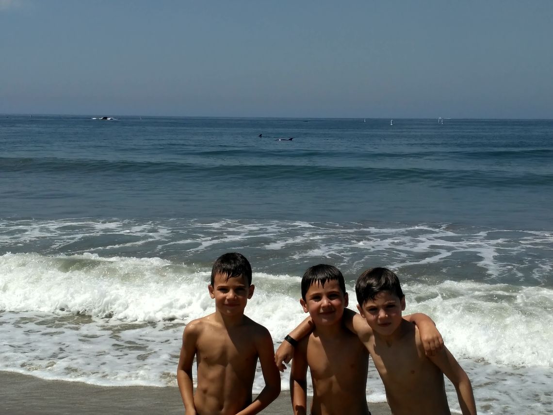 santa monica beach los angeles delfines 2 santa monica beach los angeles delfines 2
