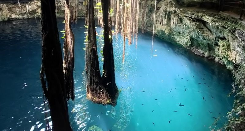cenote oxman portada